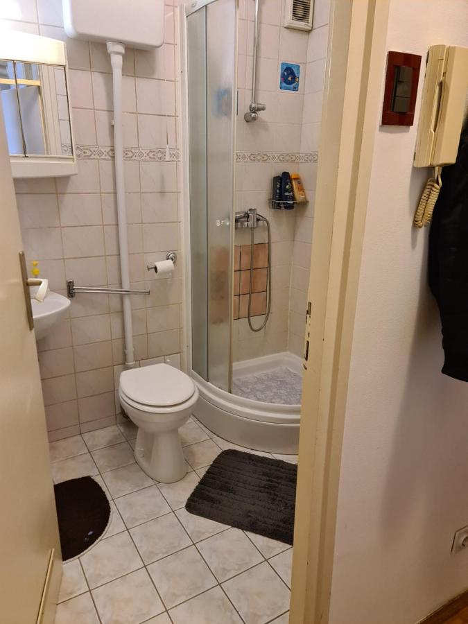 Apartman U Velikoj Gorici Zeljko Velika Gorica Exterior photo